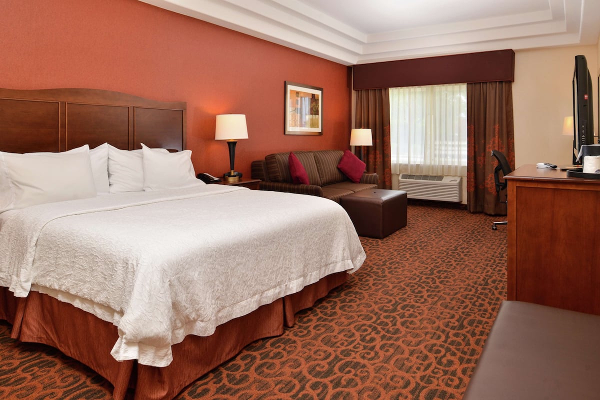 A hotel room with a large bed, a sofa, a desk, and a television.