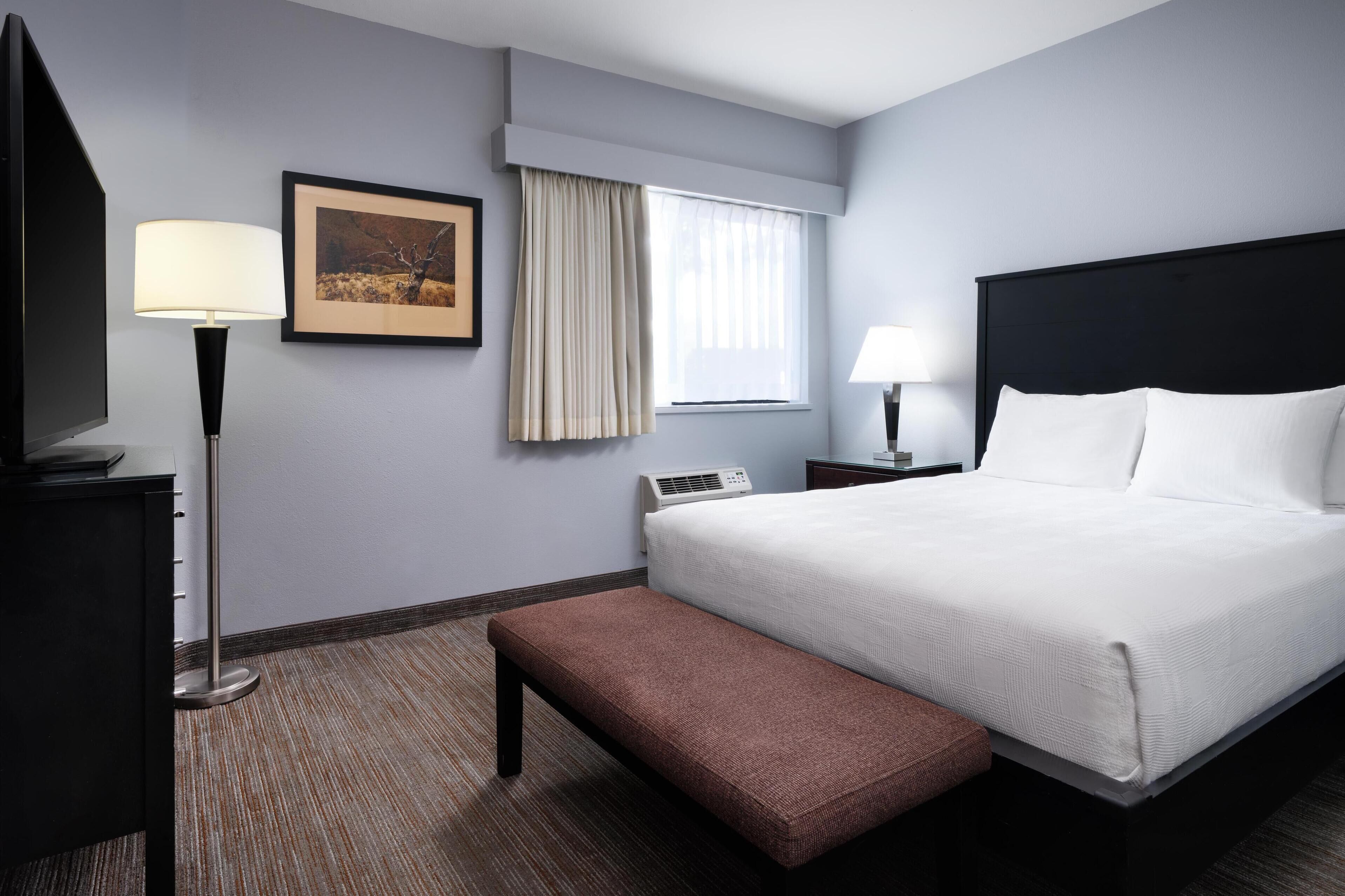 Habitación de hotel con una cama grande, una mesita de noche, una lámpara, un cuadro en la pared y una ventana con cortinas.