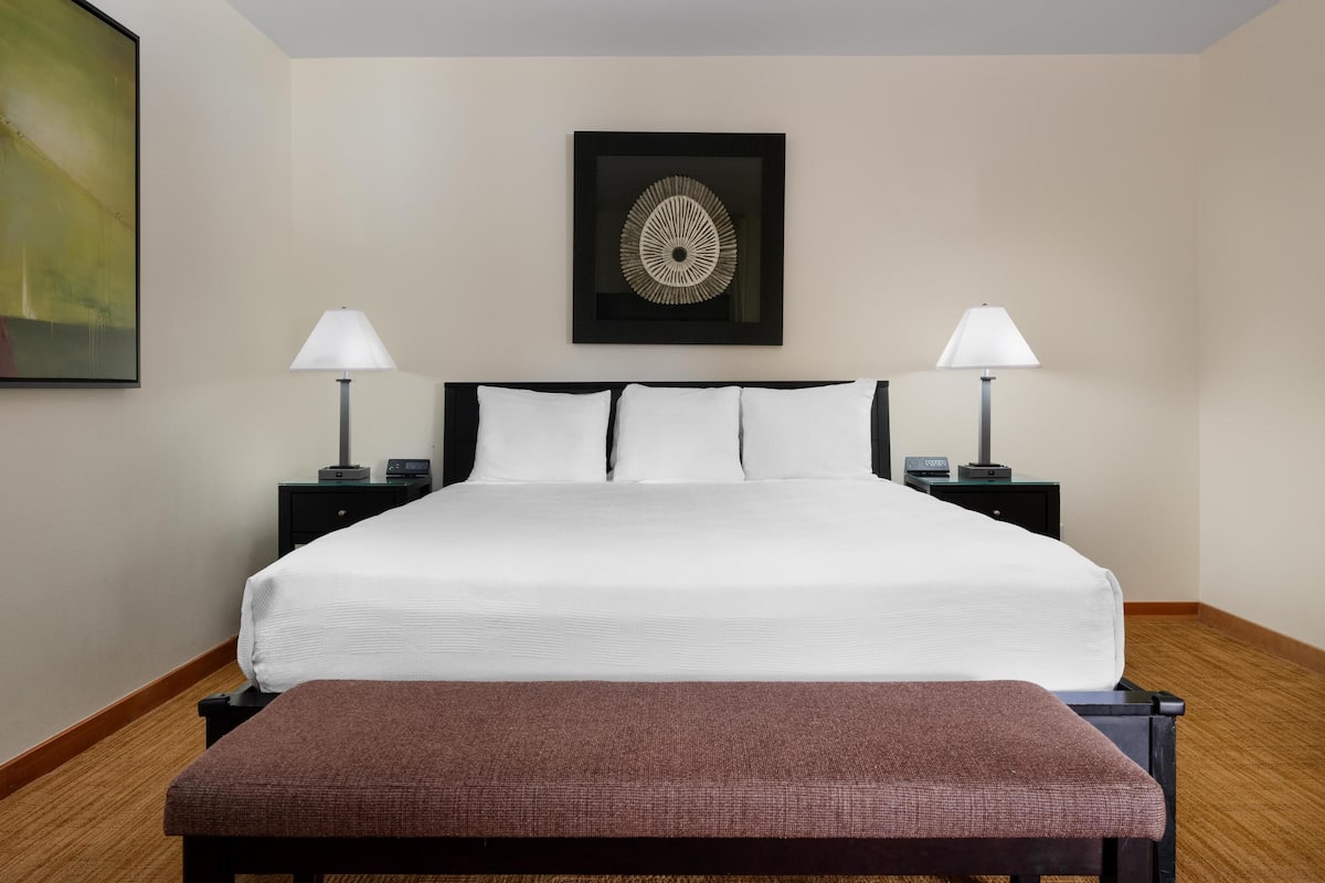 Suite, 1 King Bed, River View (Kitchen & Patio, No Pets) | 1 bedroom, desk, laptop workspace, free WiFi