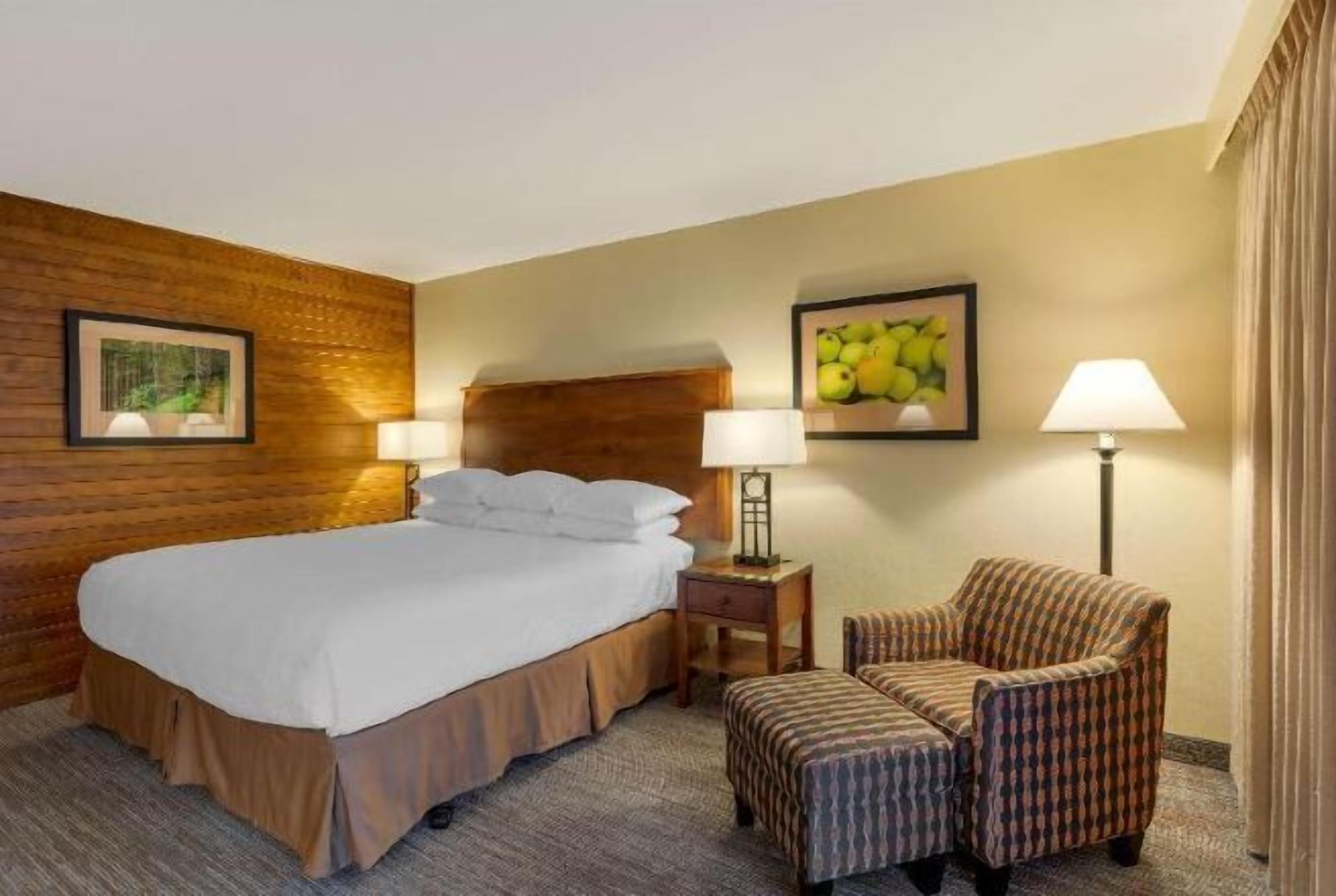 Desk, laptop workspace, free WiFi, bed sheets