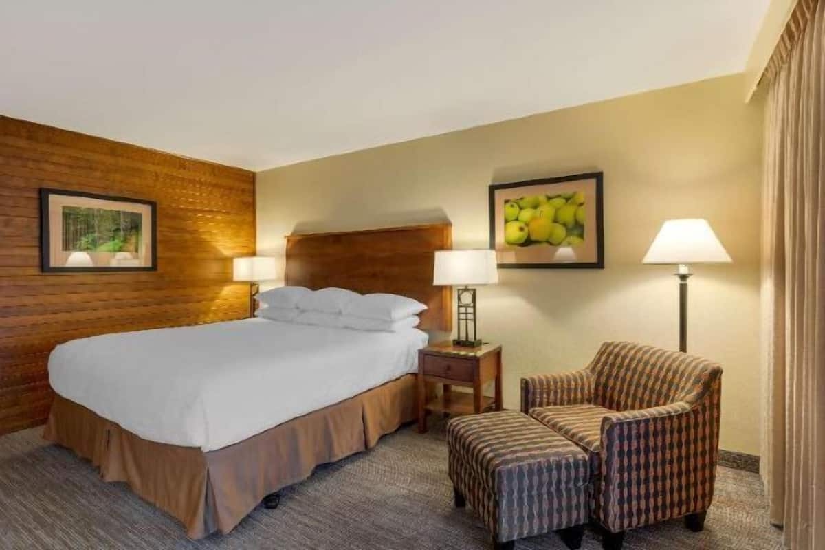 Desk, laptop workspace, free WiFi, bed sheets