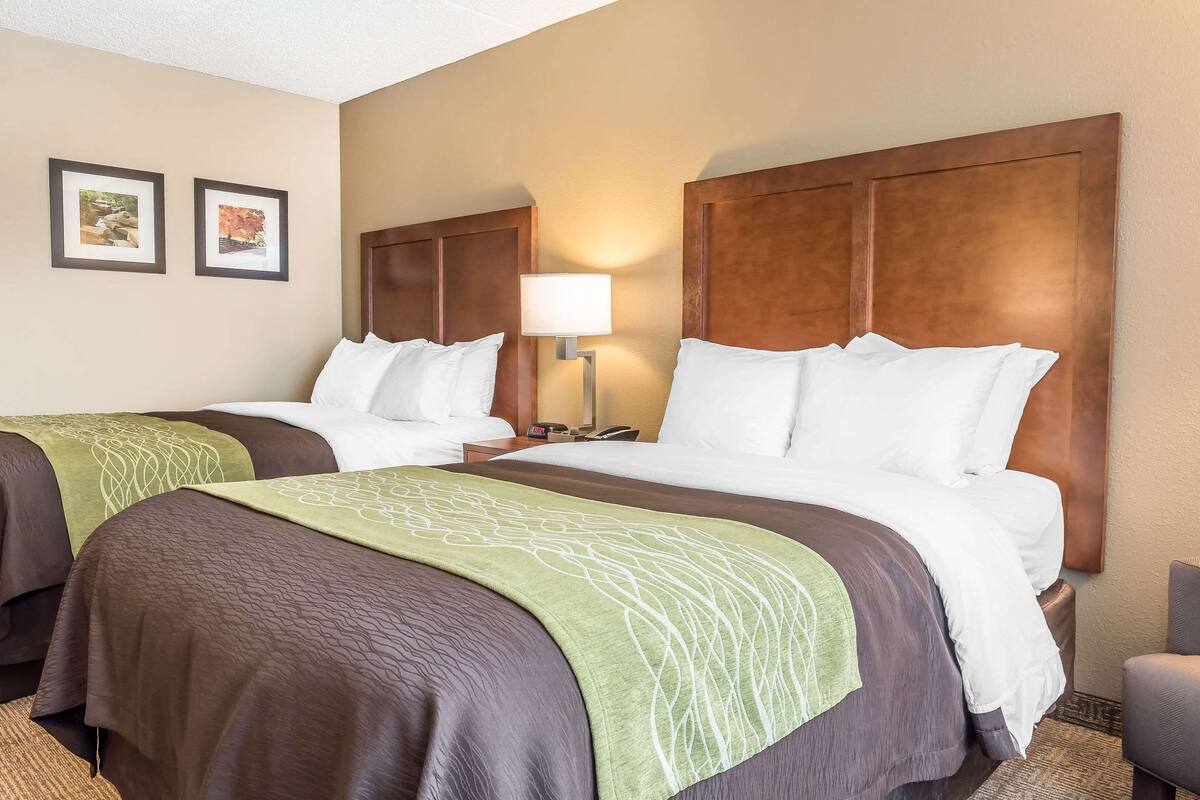 A hotel room with two beds, a nightstand, a lamp, and two framed pictures on the wall.