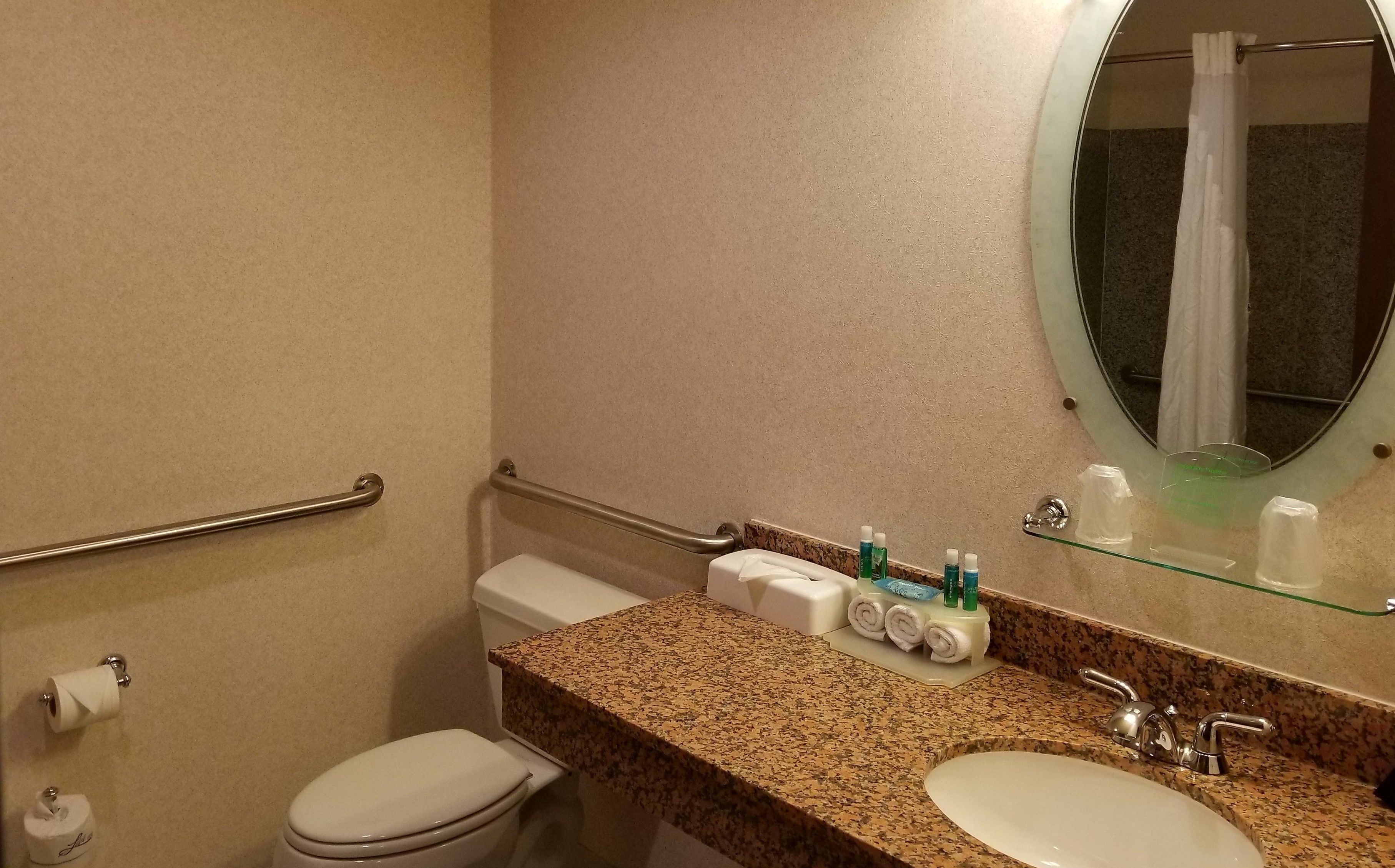A bathroom with a toilet, grab bars, a sink, and a mirror.