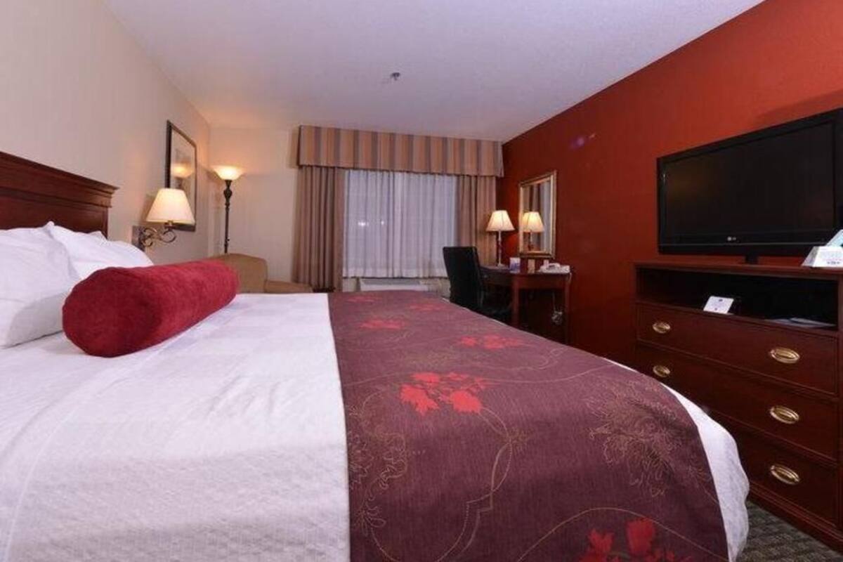 A hotel room with a bed, a desk, a chair, a television, and a dresser.