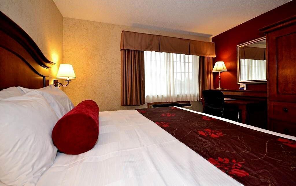 Premium bedding, in-room safe, blackout drapes, iron/ironing board