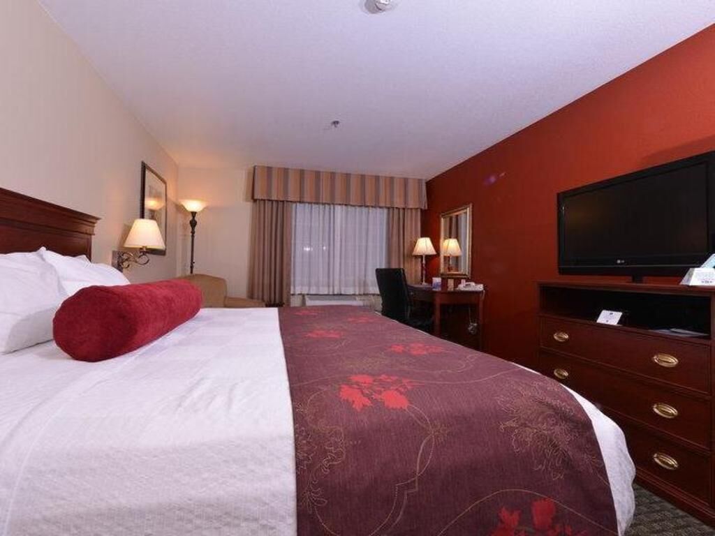 Premium bedding, in-room safe, blackout drapes, iron/ironing board