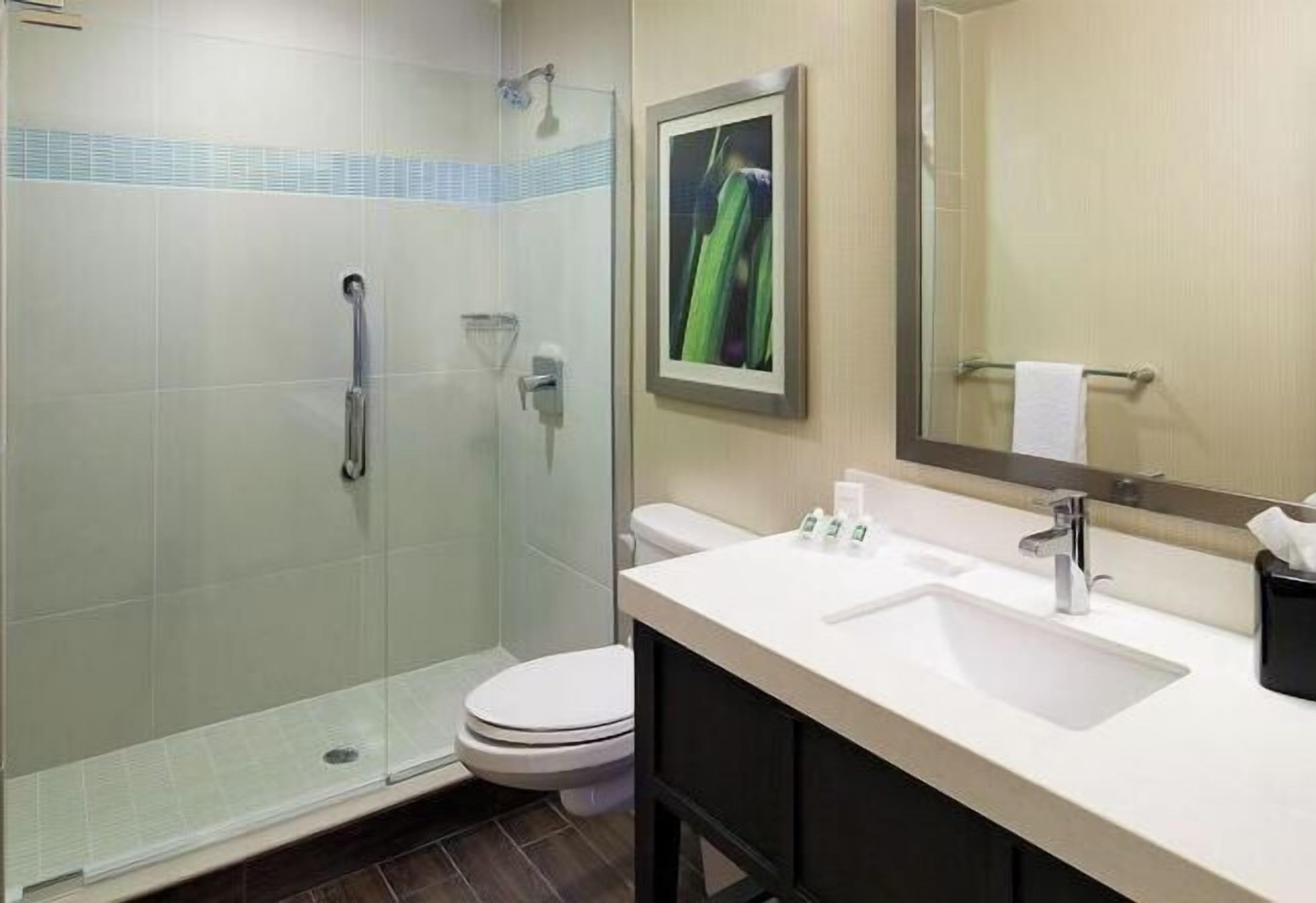 Bathroom | Eco-friendly toiletries, hair dryer, towels, soap