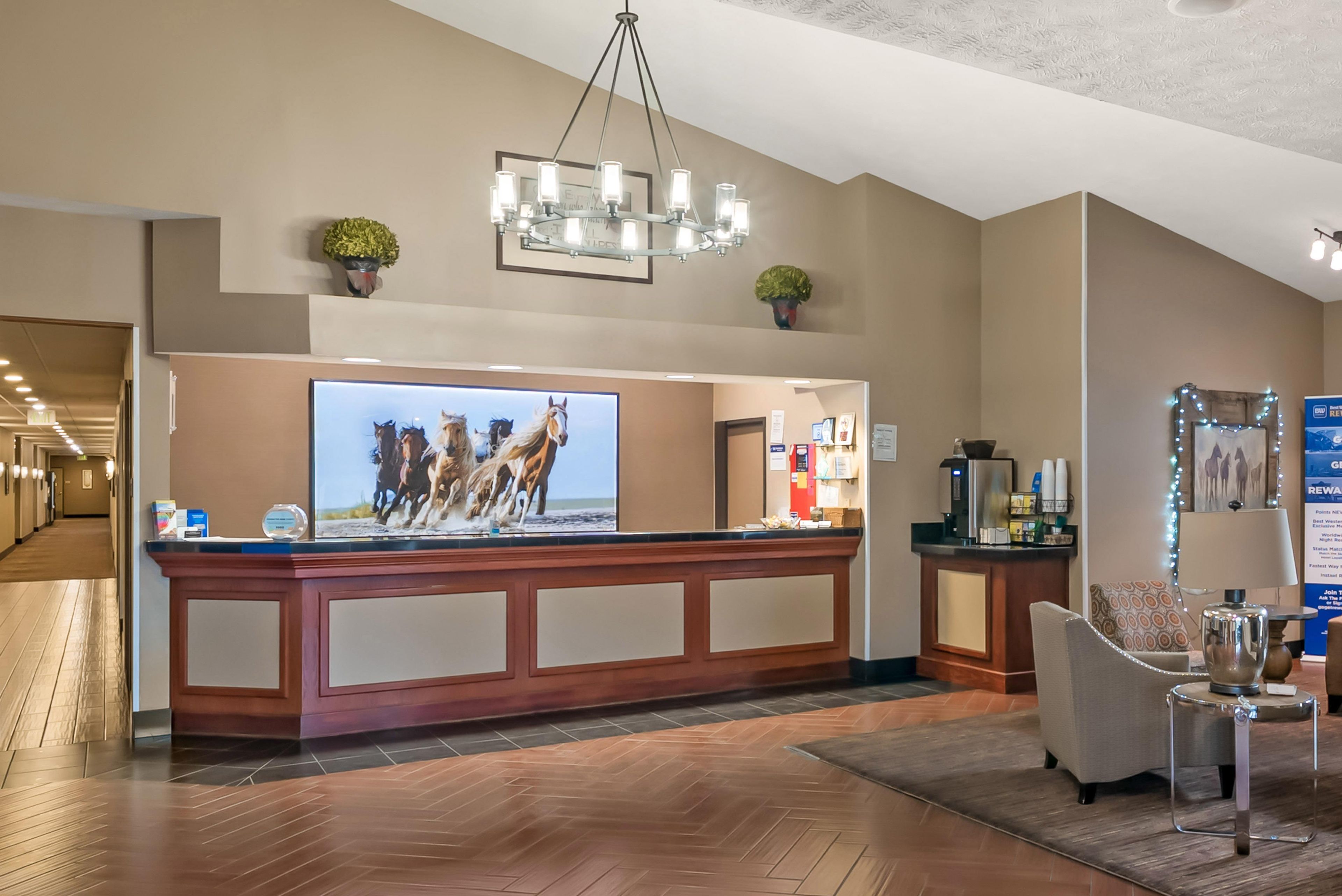 A reception area with a wooden reception desk, a large flat-screen TV displaying horses, a chandelier, and a coffee machine.