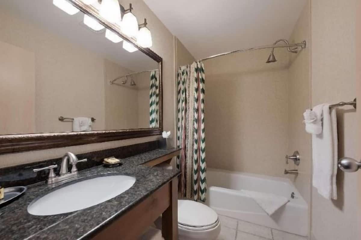 Bathroom | Combined shower/tub, free toiletries, hair dryer, towels