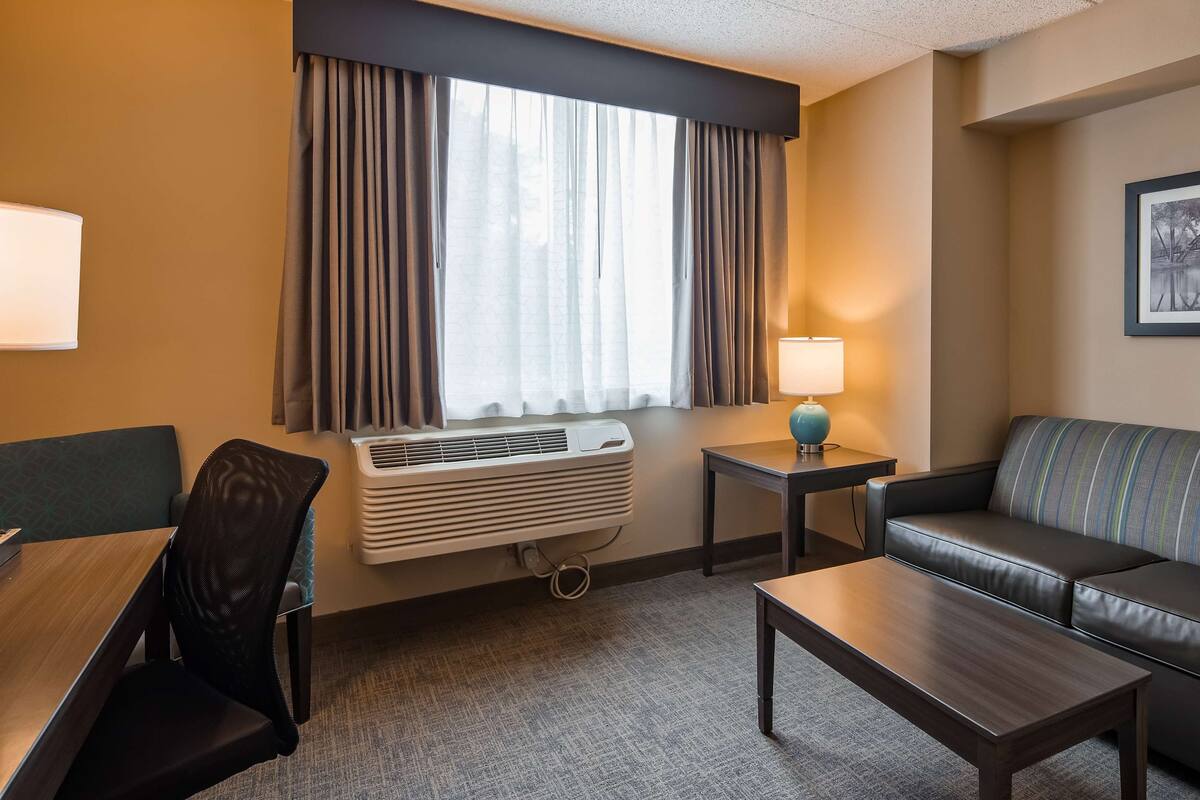 A hotel room with a sofa, a small table, a chair, a lamp, an air conditioning unit, and a window with curtains.