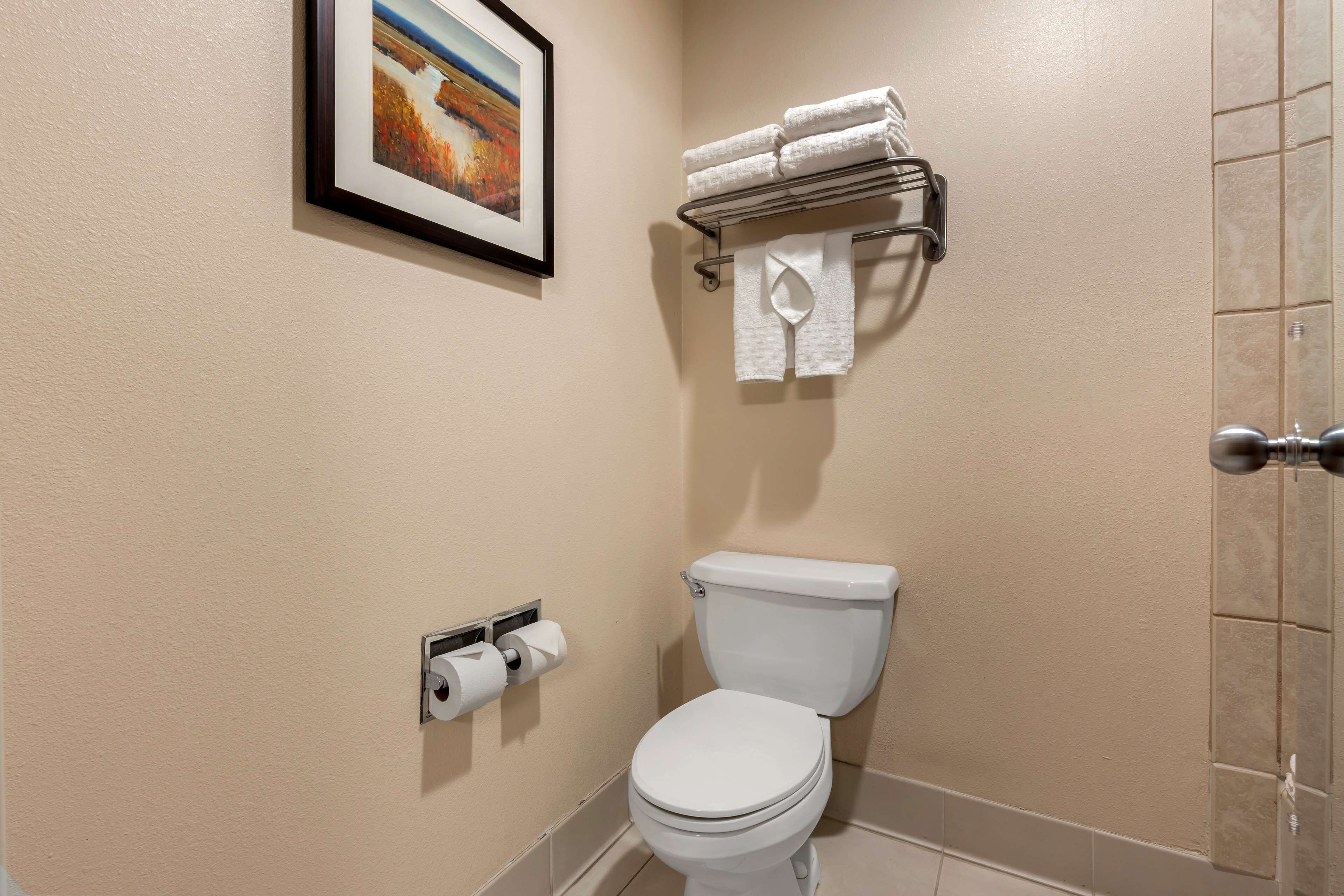 A bathroom with a toilet, a towel rack with folded towels, a toilet paper holder, and a framed picture on the wall.