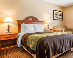 Habitación de hotel con cabecera de madera, cama con ropa de cama blanca y marrón, dos mesitas de noche con lámparas, alfombra estampada y un cuadro en la pared.