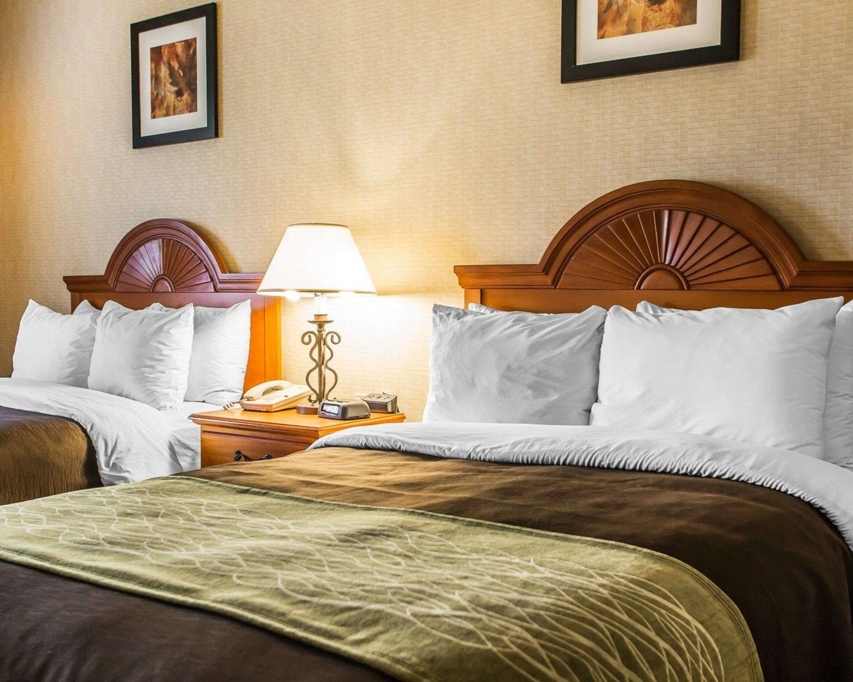 A hotel room with a large bed, a nightstand with a lamp and phone, and two framed pictures on the wall.