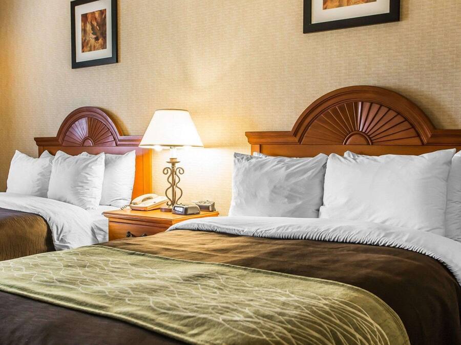 A hotel room with a large bed, a nightstand with a lamp and phone, and two framed pictures on the wall.