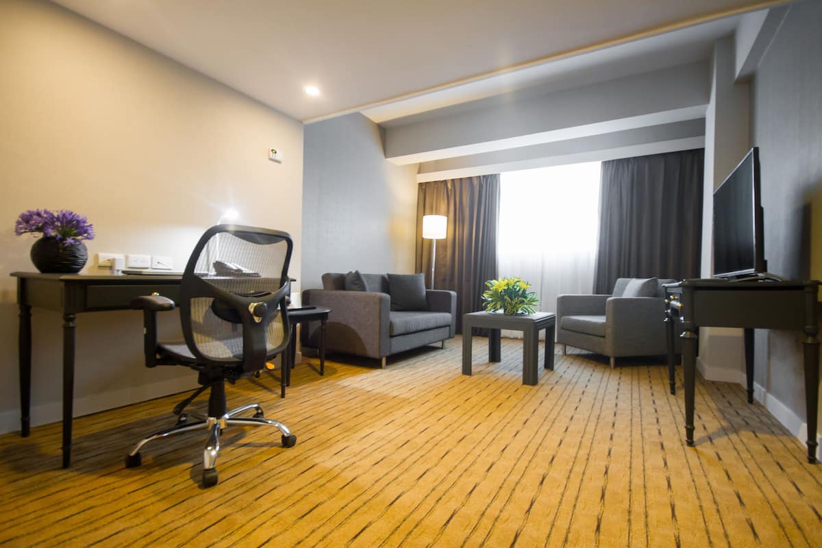 Una camera d'albergo con pavimento in legno, una scrivania con un computer, due divani grigi, un tavolino con una pianta e una TV su un mobile.