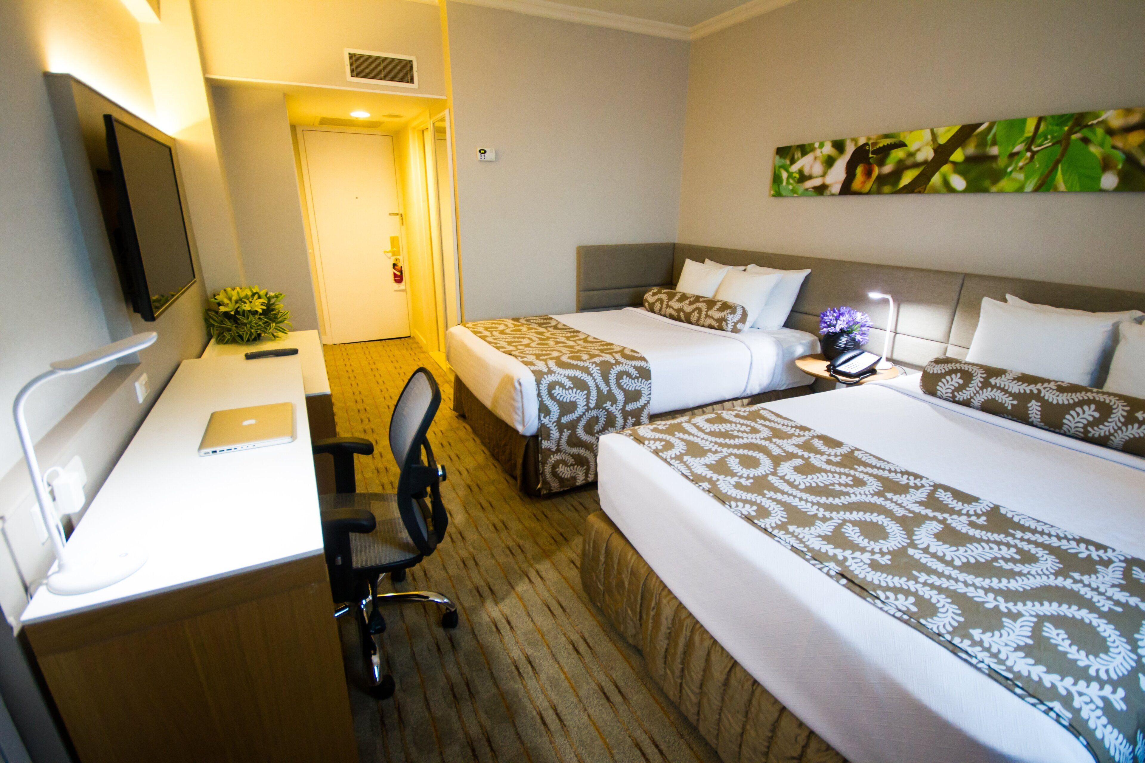 A hotel room with two beds, a desk with a laptop, a chair, a TV, and a small plant.
