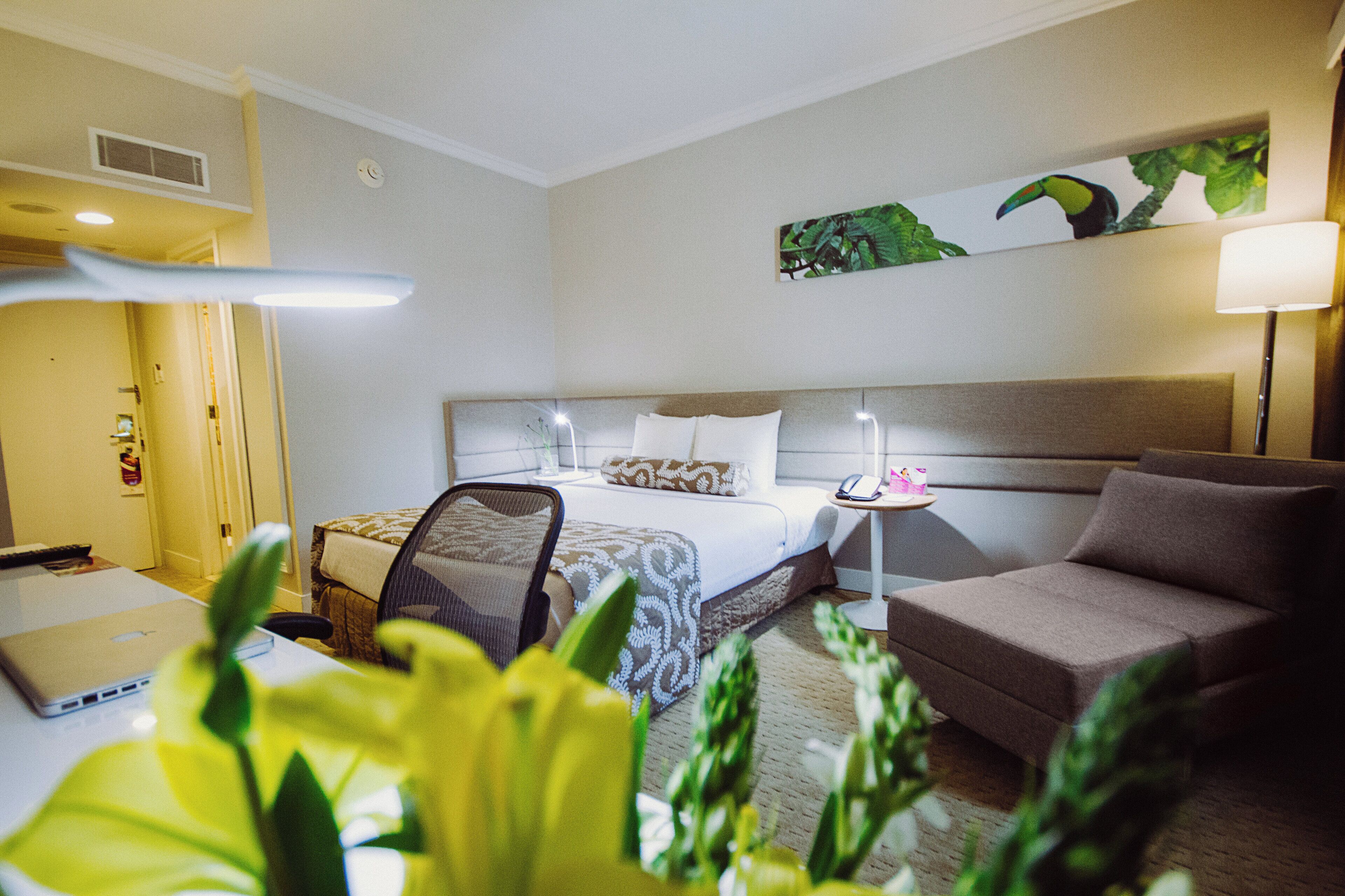 Ein Hotelzimmer mit Bett, Schreibtisch, Stuhl, Lampe und Pflanze.