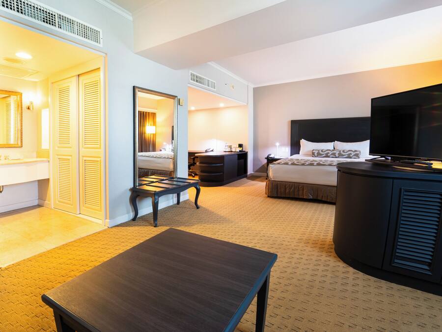 Una habitación de hotel con cama, escritorio, televisor y baño con espejo e inodoro.