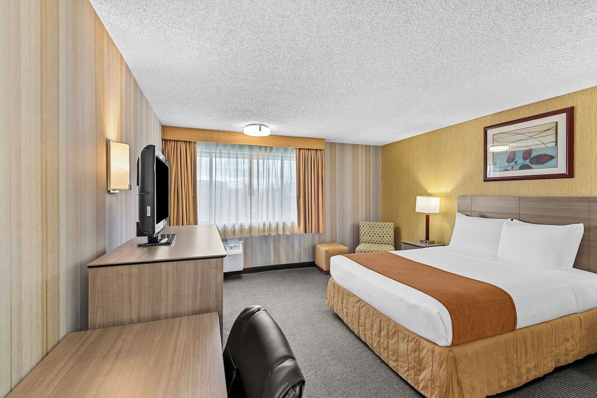 Chambre Standard, 1 grand lit, accessible aux personnes à mobilité réduite, non-fumeur