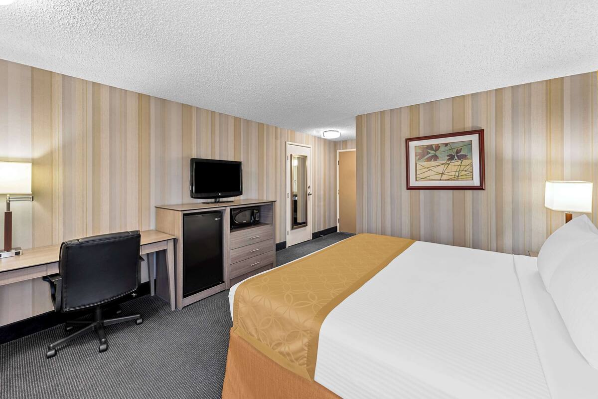 A hotel room with a bed, desk, chair, television, and a framed picture on the wall.
