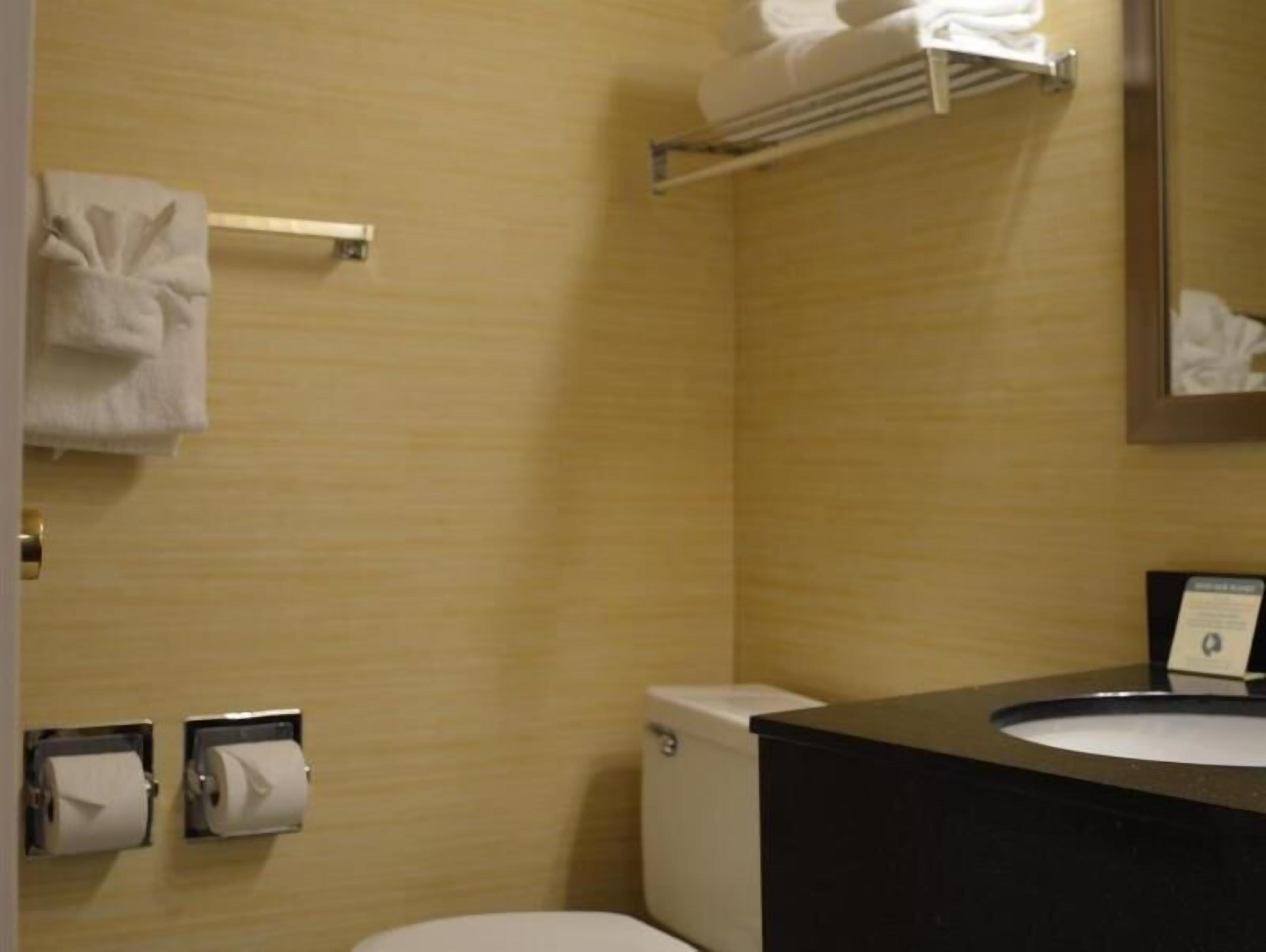 Bathroom | Combined shower/tub, free toiletries, hair dryer, towels