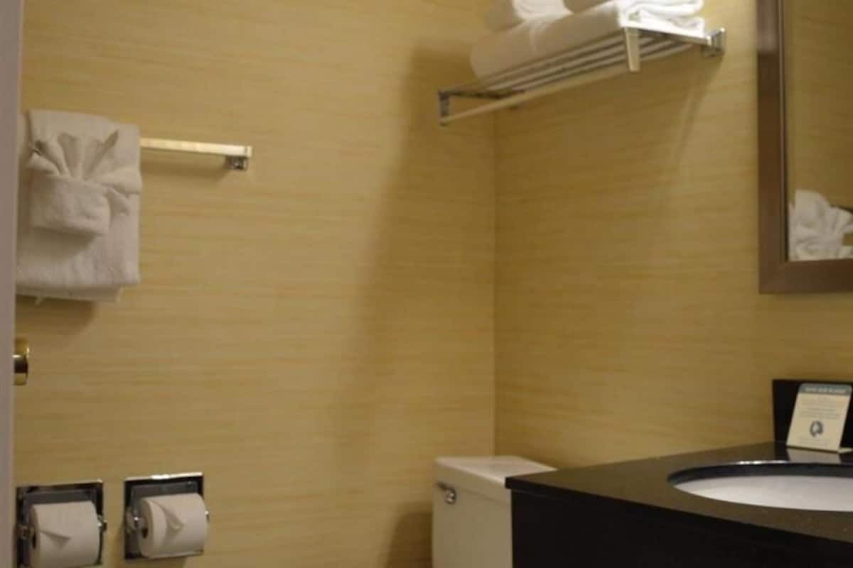 Bathroom | Combined shower/tub, free toiletries, hair dryer, towels