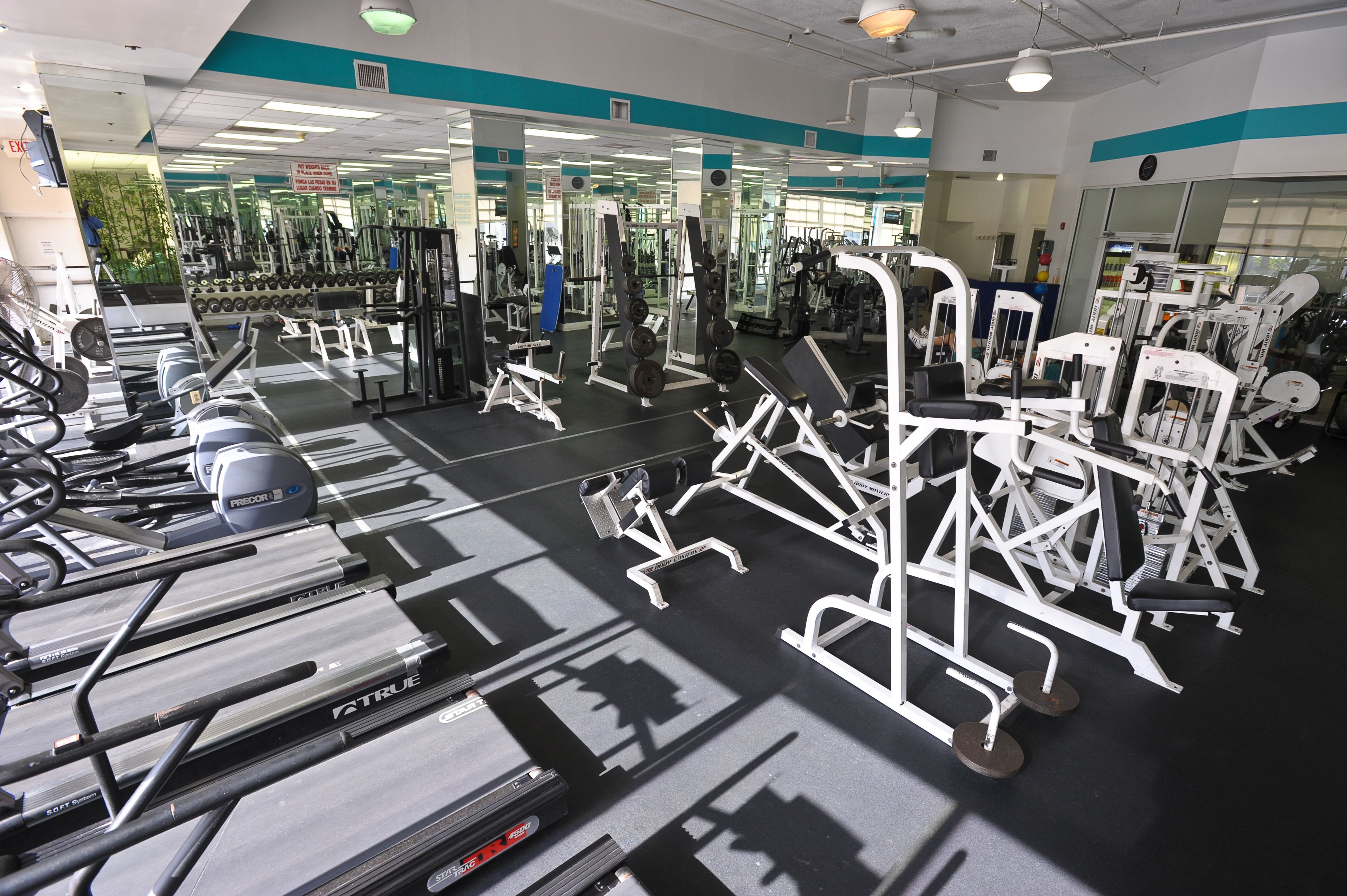 A gym with treadmills, weight machines, and free weights.