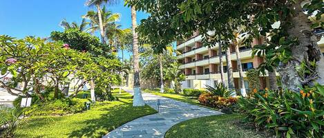 A pathway leading to a building with multiple balconies, surrounded by lush greenery and palm trees.