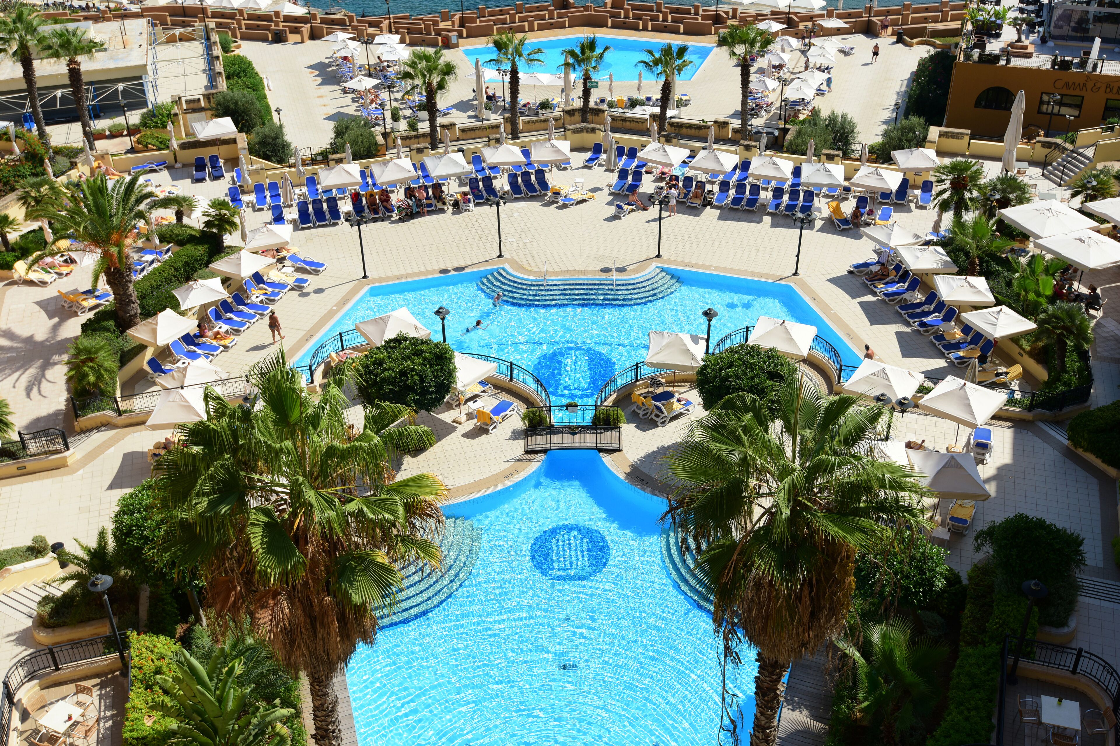 Una grande piscina circondata da lettini e palme.