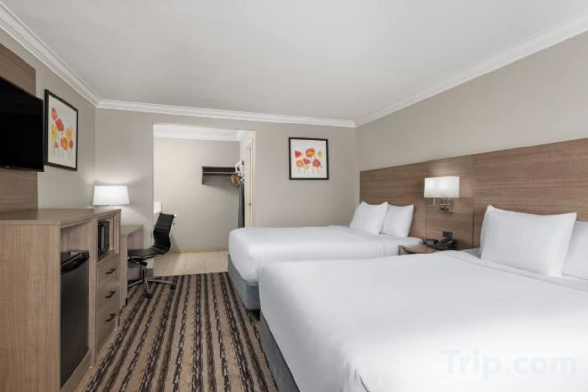 Desk, blackout curtains, iron/ironing board, free WiFi