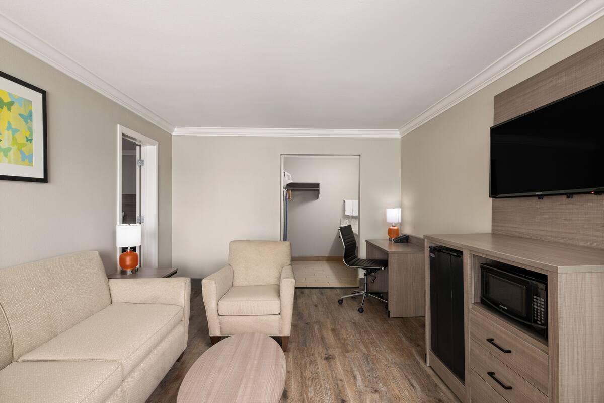 A hotel room with a sofa, armchair, dining table, microwave, and a TV.