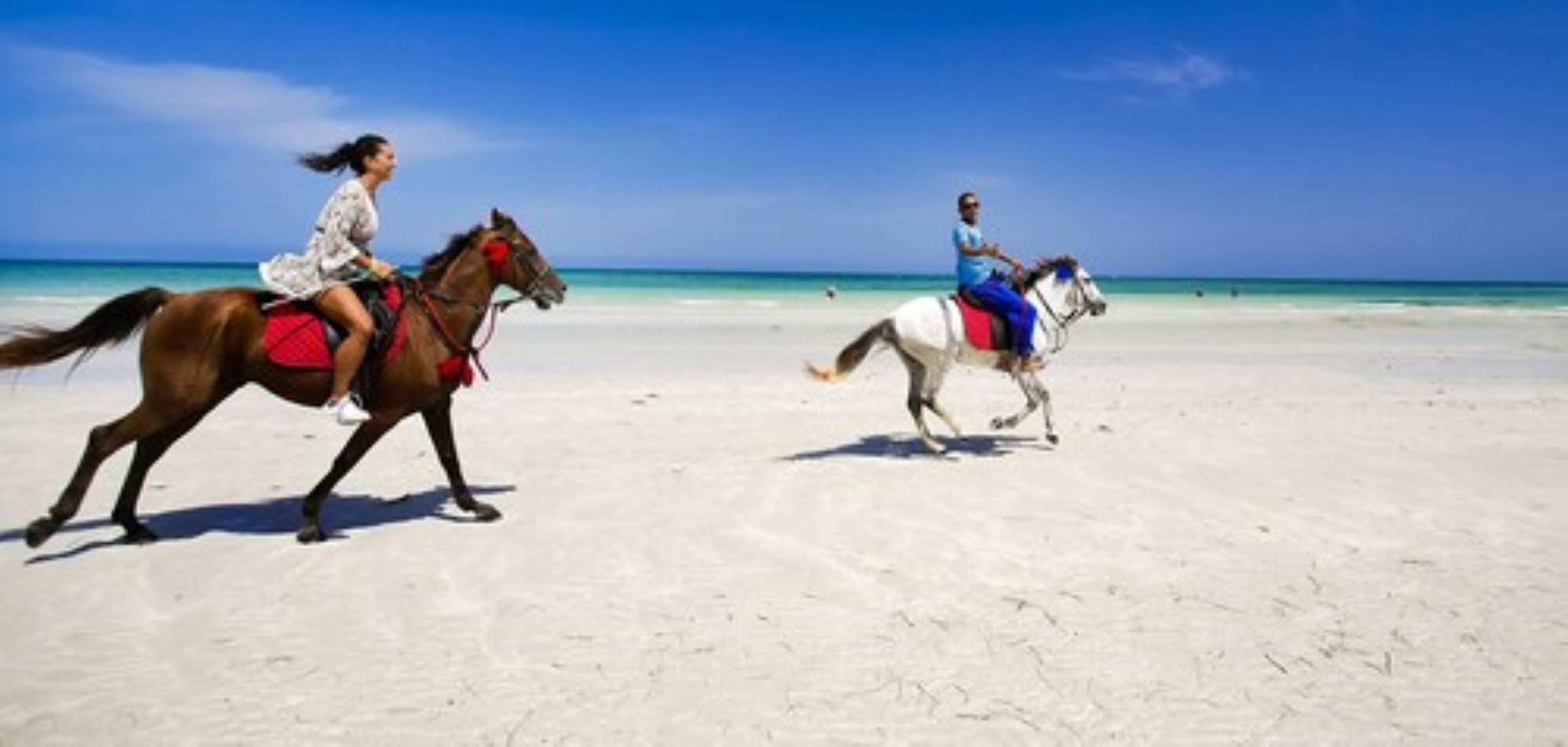 Deux personnes à cheval sur une plage, sous un ciel dégagé et sur une mer calme.
