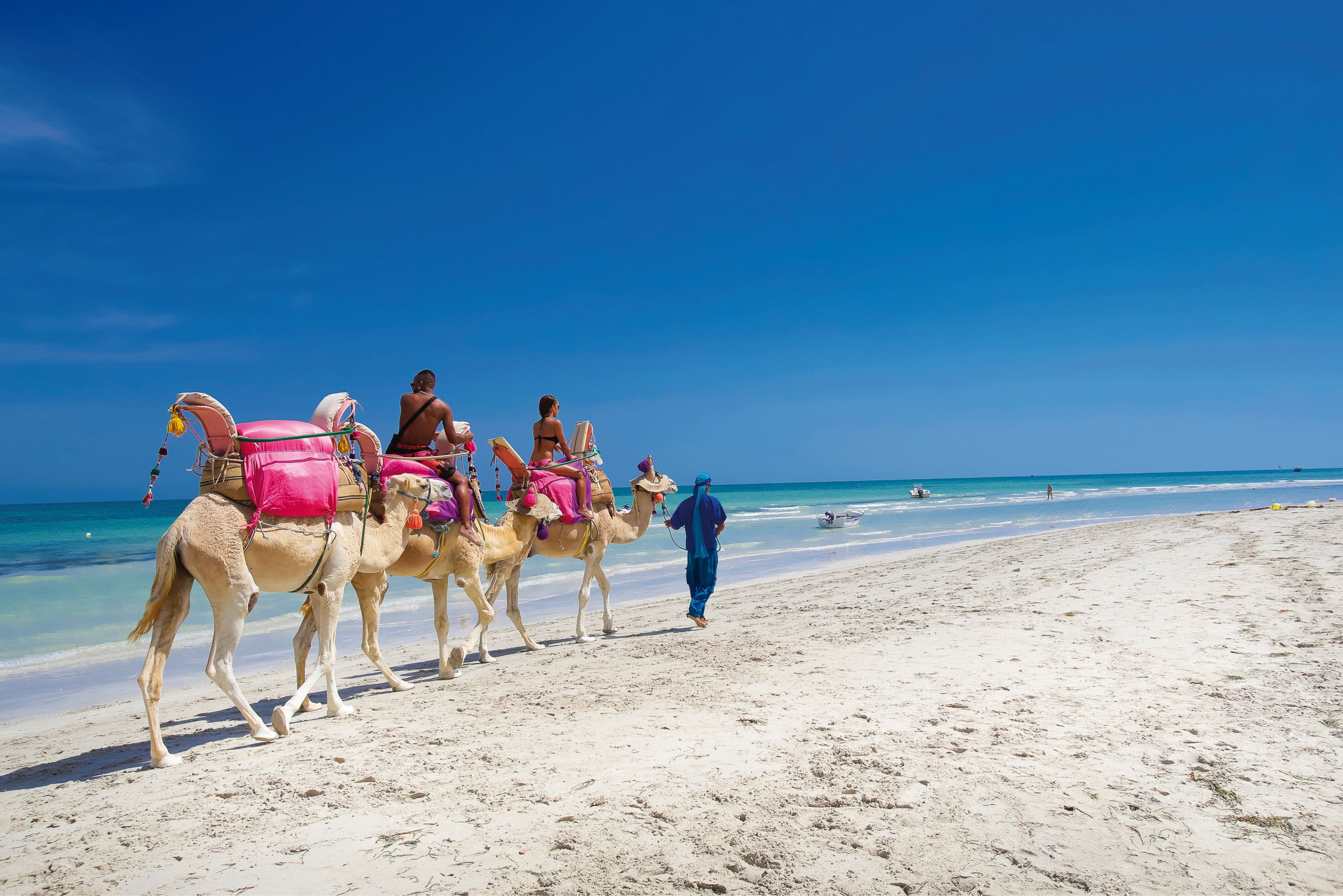 Une scène de plage avec des chameaux et des cavaliers.