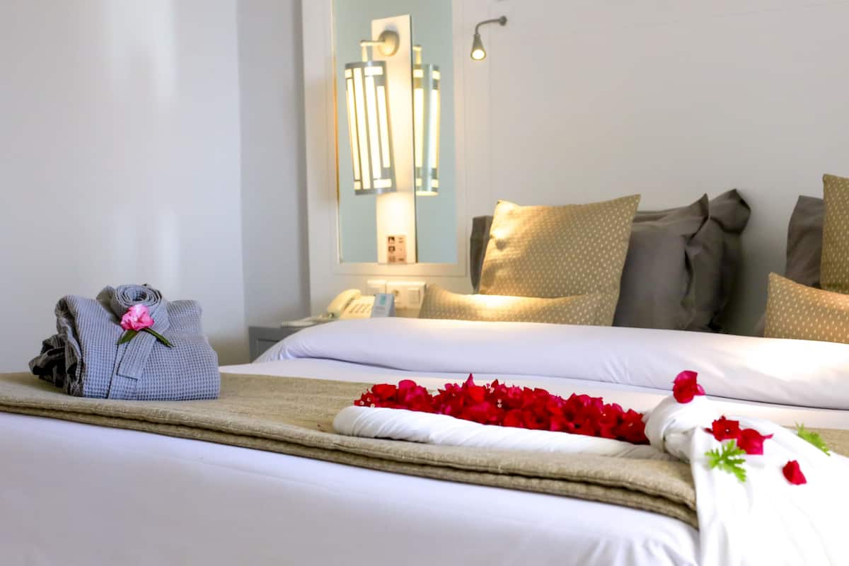 Suite sénior | 1 dormitorio, minibar, escritorio y wifi gratis