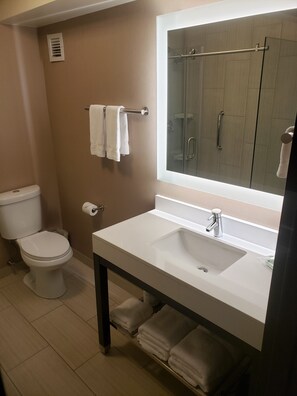 Premium bedding, down comforters, pillowtop beds, desk - Holiday Inn Chicago SW-Countryside ConfCtr by IHG (La Grange)