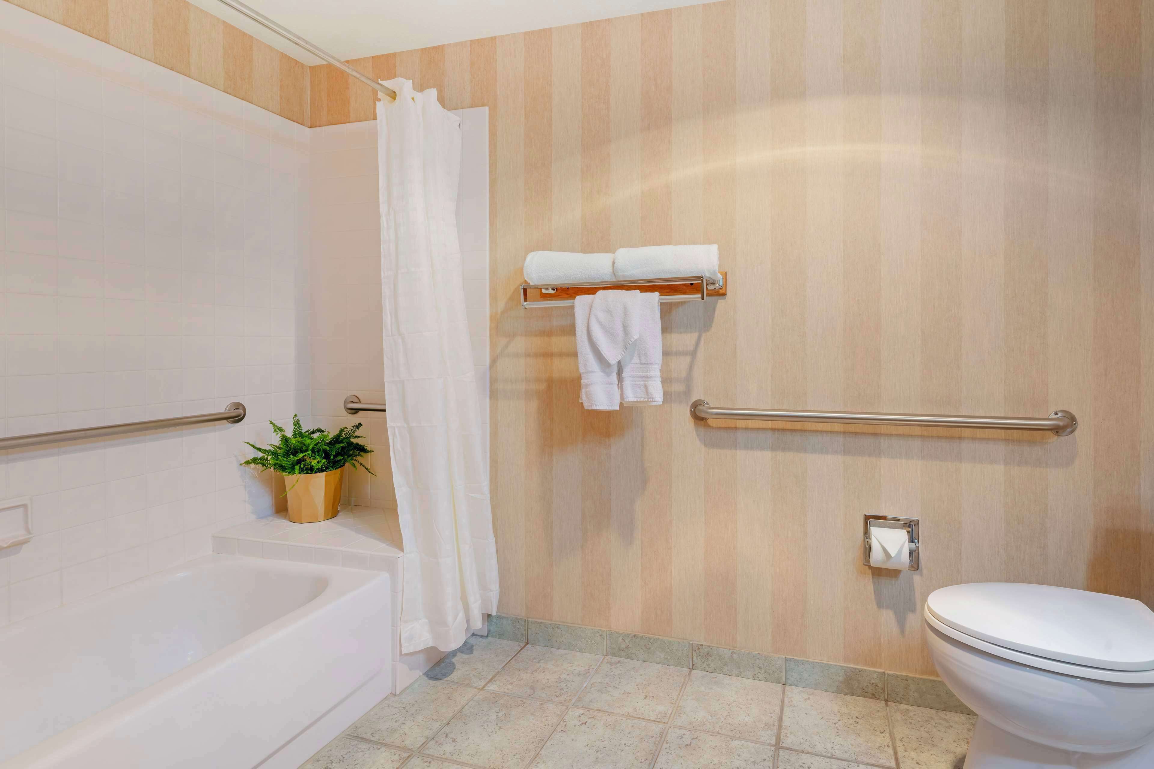 eco-friendly toiletries, hair dryer, towels