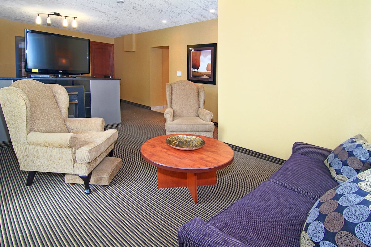 Suite, 1 Bedroom (Living Area) | Room amenity