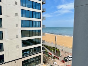 Beach/ocean view - Sheraton Virginia Beach Oceanfront Hotel (Virginia Beach)