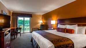 Une chambre d’hôtel avec un lit, un bureau avec une télévision, une chaise, une table de chevet avec une lampe, et une vue sur la verdure par la fenêtre.