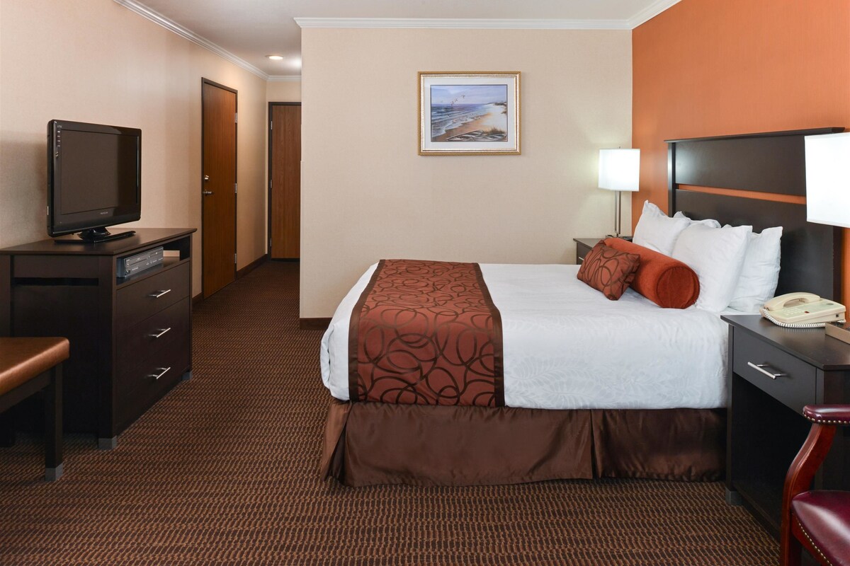 A hotel room with a bed, a desk with a television, a lamp, and a framed picture on the wall.