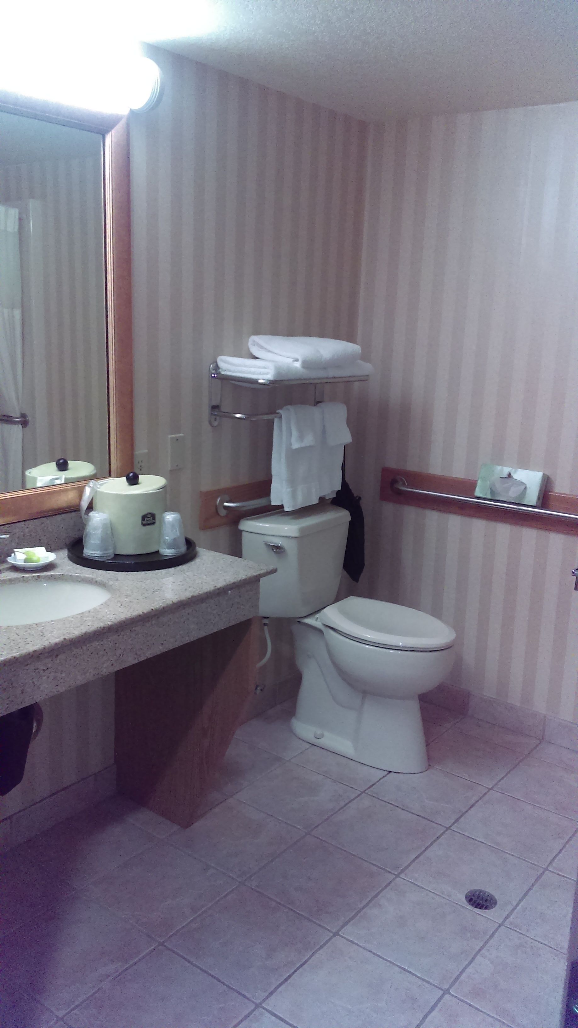 A bathroom with a toilet, sink, and a mirror.