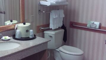 A bathroom with a toilet, sink, and a mirror.