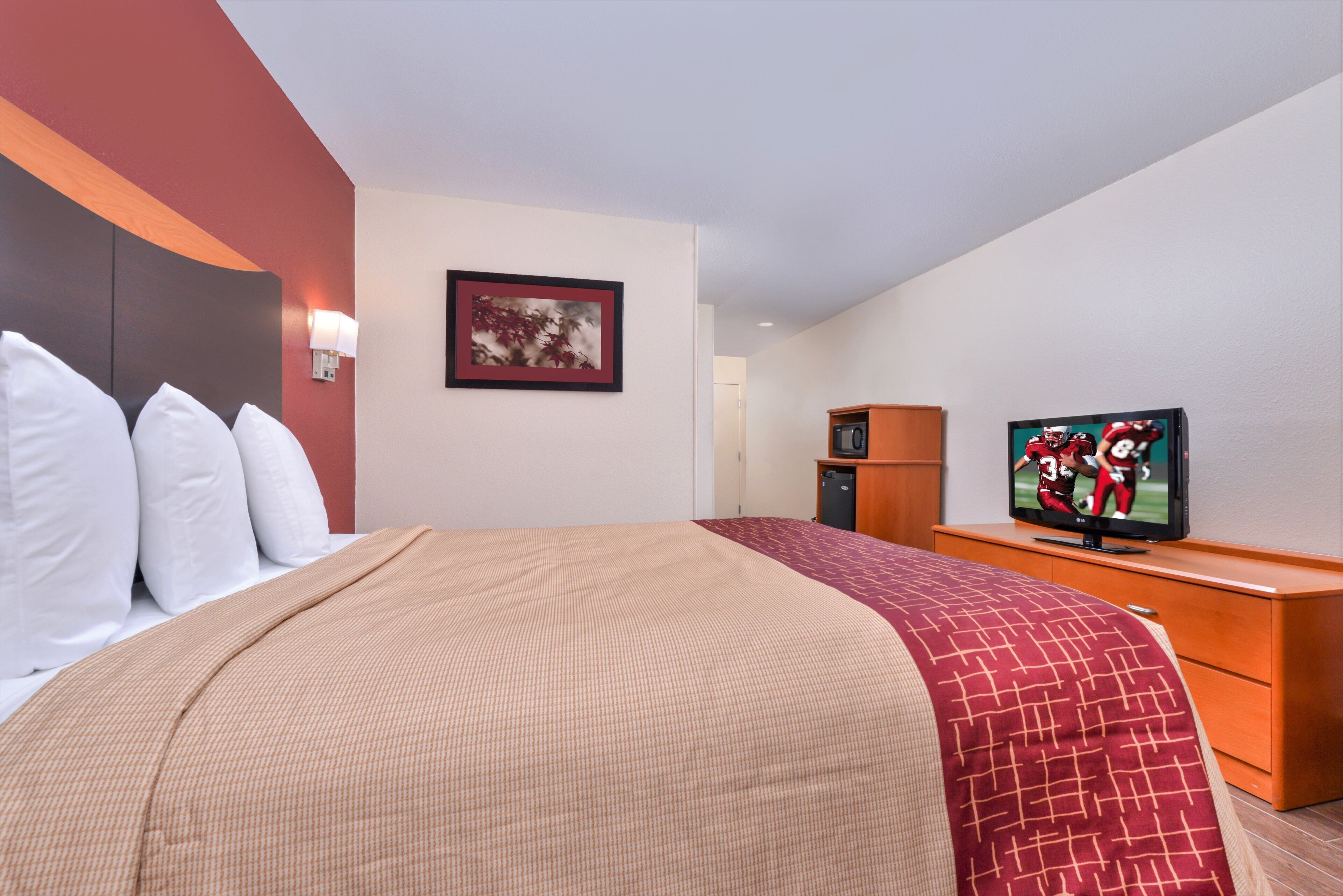 A hotel room with a bed, a television, a microwave, and a framed picture on the wall.