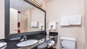 A bathroom with a double sink, a toilet, and a large mirror.