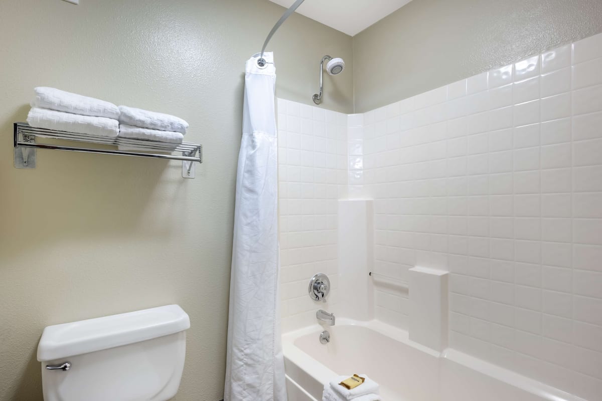 standard room, 1 king bed, non smoking, refrigerator & microwave | bathroom | shower, eco-friendly toiletries, hair dryer, towels