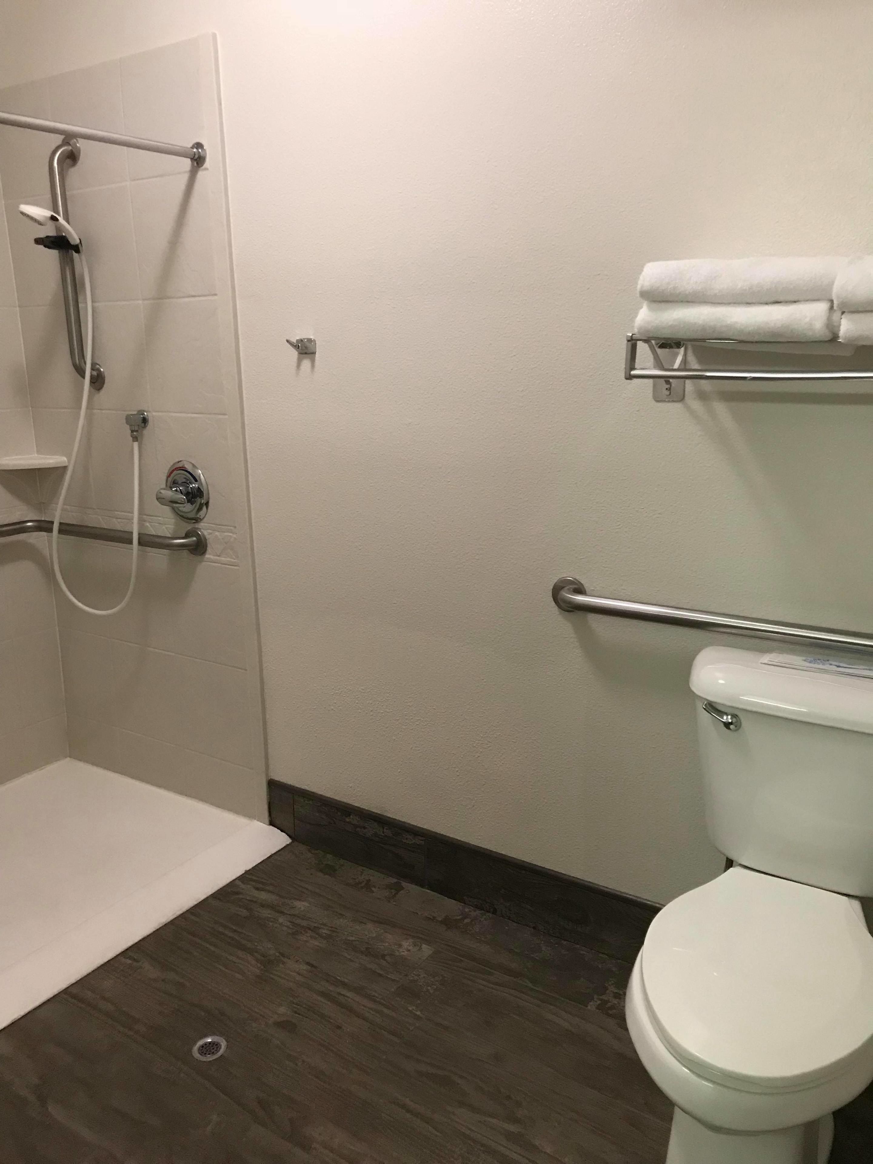 standard room, 2 double beds, accessible, non smoking | bathroom | shower, eco-friendly toiletries, hair dryer, towels