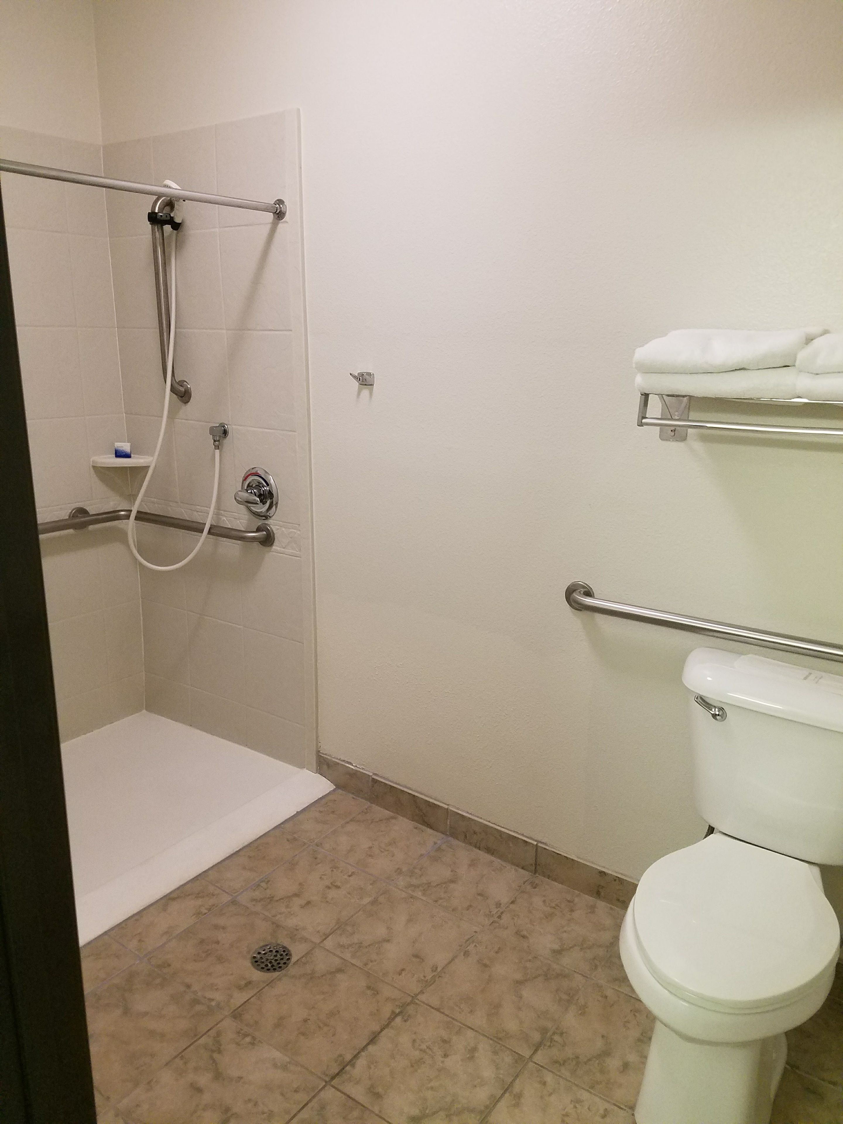 standard room, 2 double beds, accessible, non smoking | bathroom | shower, eco-friendly toiletries, hair dryer, towels