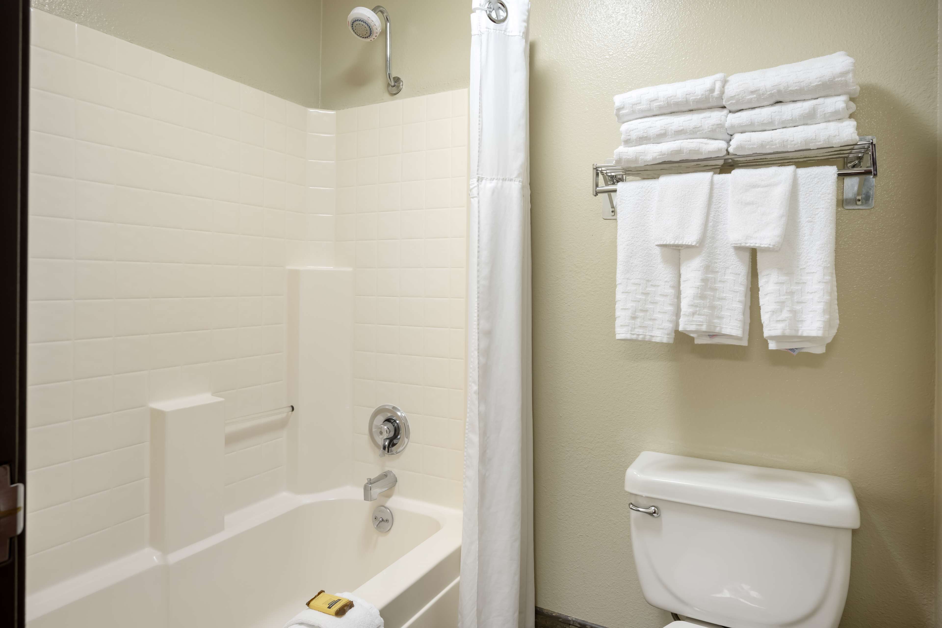 shower, eco-friendly toiletries, hair dryer, towels