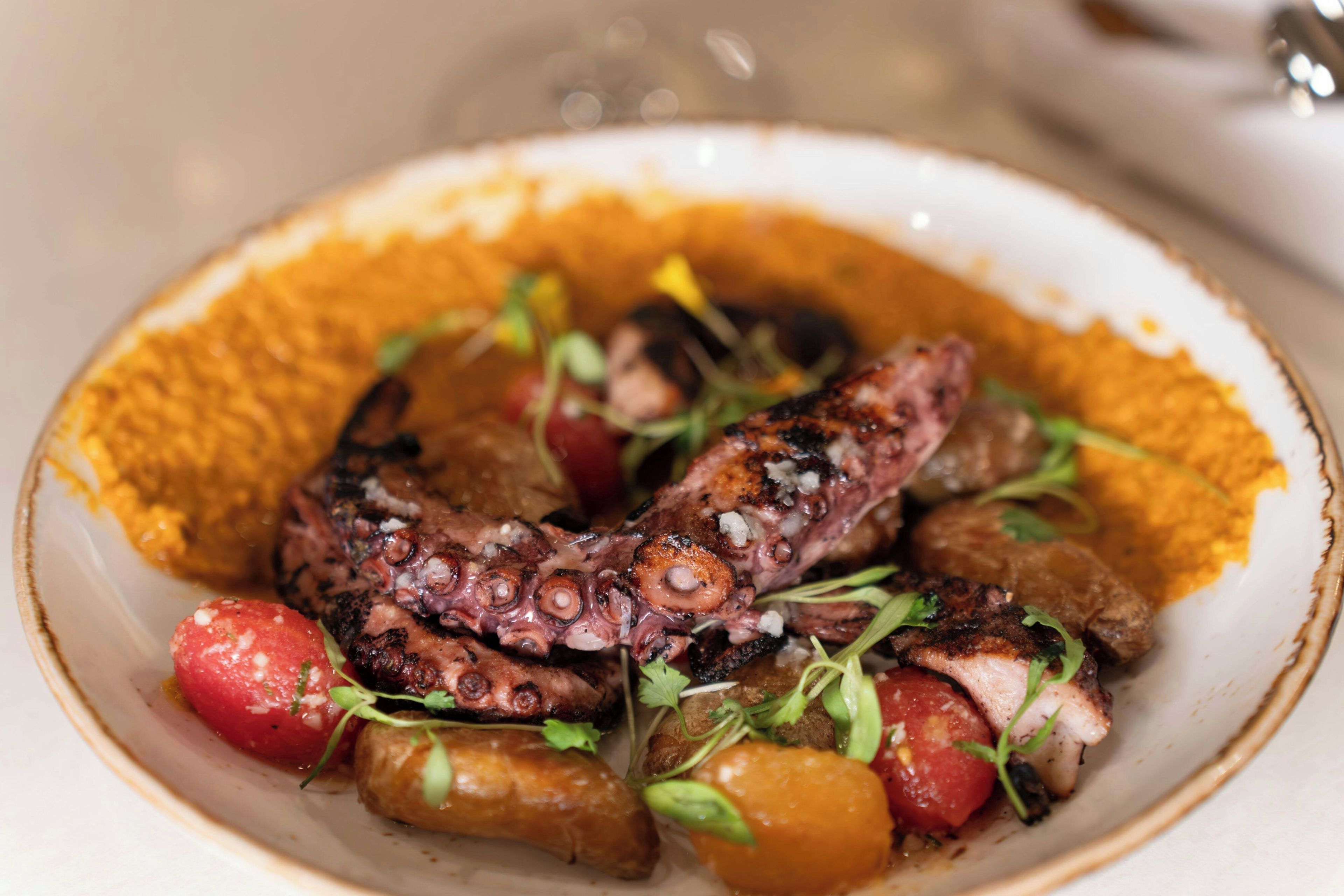 Un plato de pulpo a la parrilla con verduras y hierbas aromáticas.