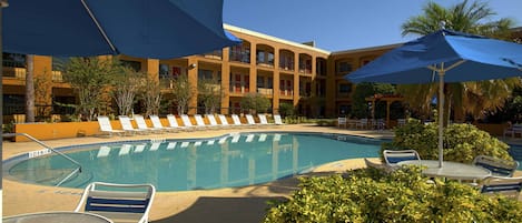 Outdoor pool, sun loungers